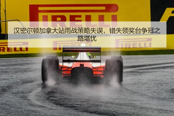 han-mi-er-dun-jia-na-da-zhan-yu-zhan-ce-lve-shi-wu-cuo-shi-ling-jiang-tai-zheng-guan-zhi-lu-kan-you-2-931.jpg